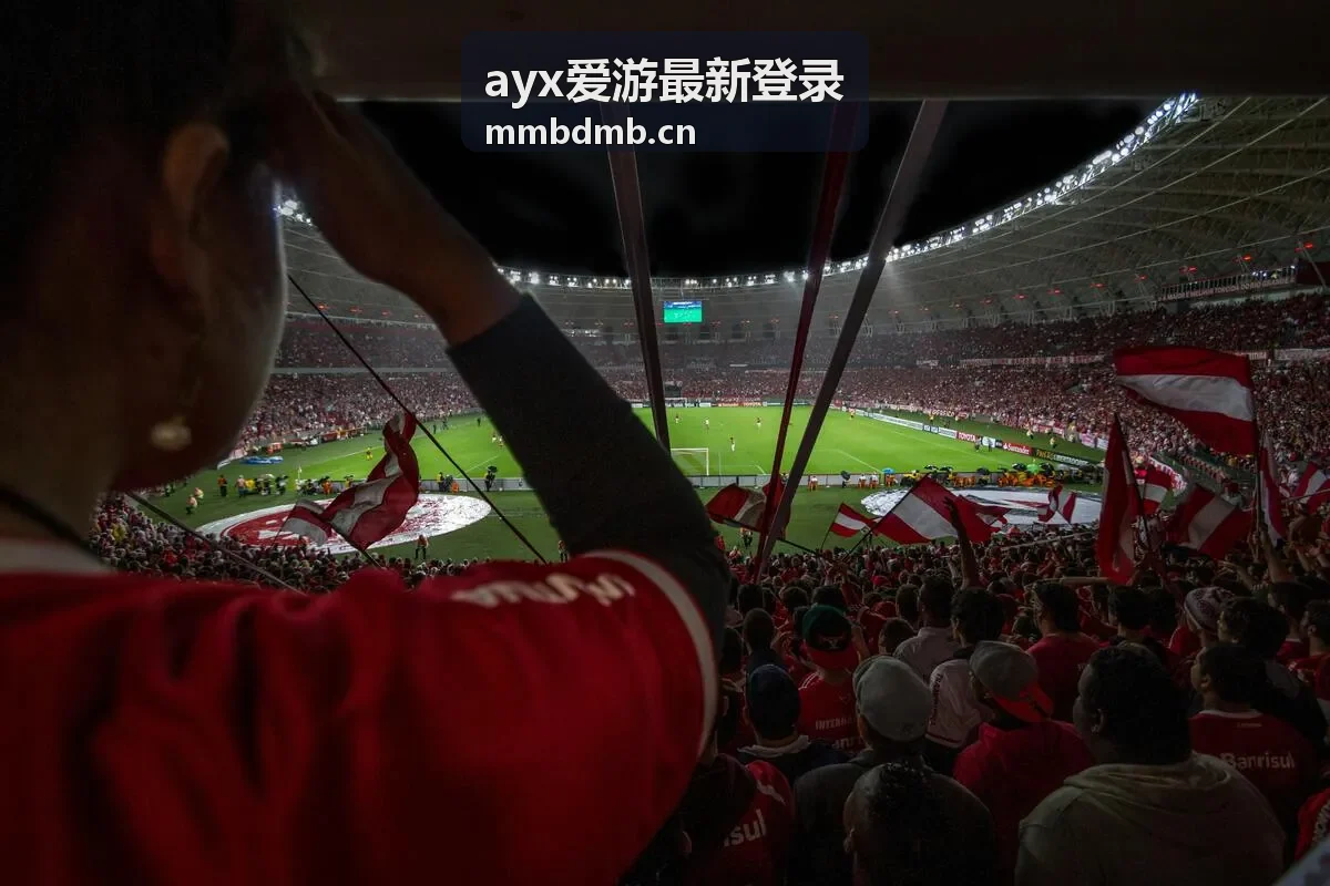 ayx爱游最新登录账号安全检查图示